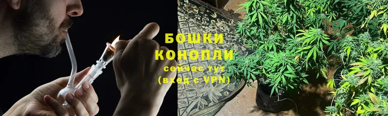 купить  цена  Кумертау  Бошки марихуана OG Kush 